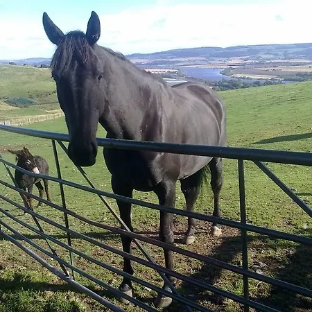 Northlees Farm-2